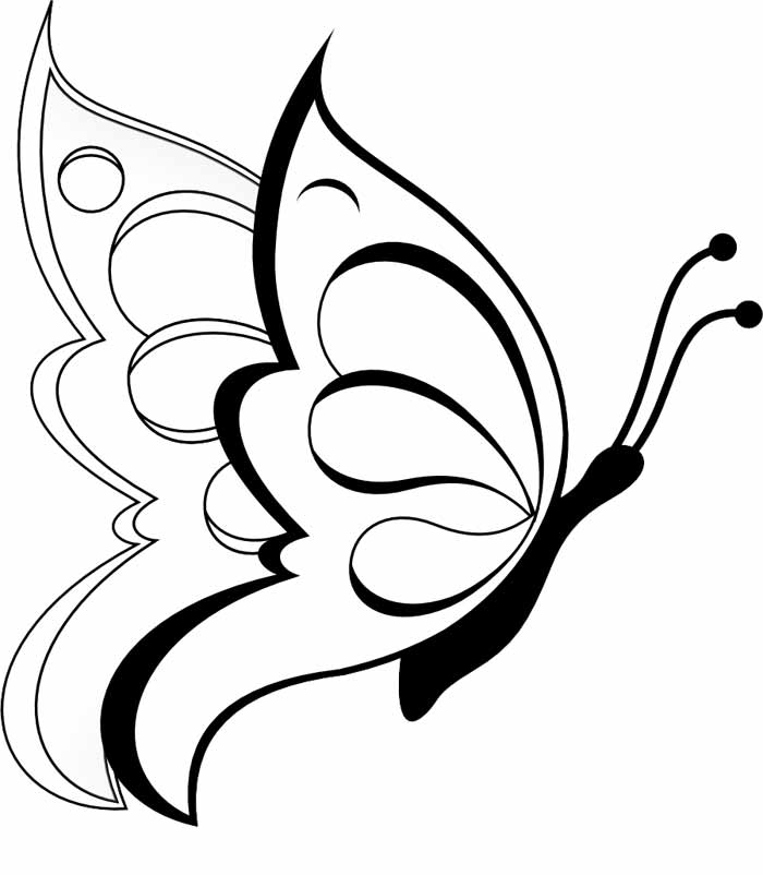 Elegante farfalla disegno da colorare nella categoria animali