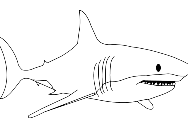 Esemplare grande di squalo da colorare per bambini