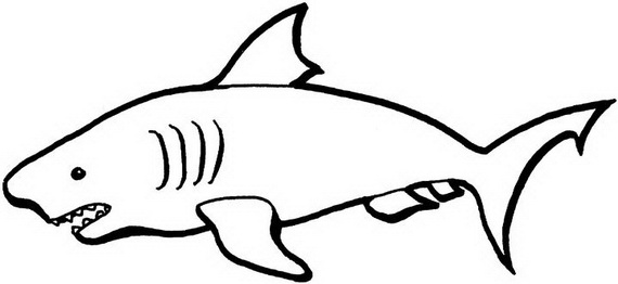 Facile disegno per bambini di uno squalo