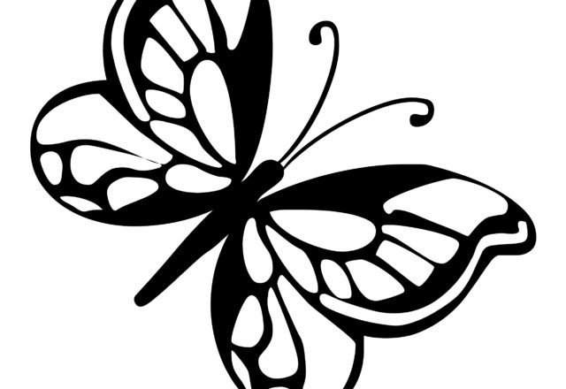 Farfalla colore scuro disegno per bimbi