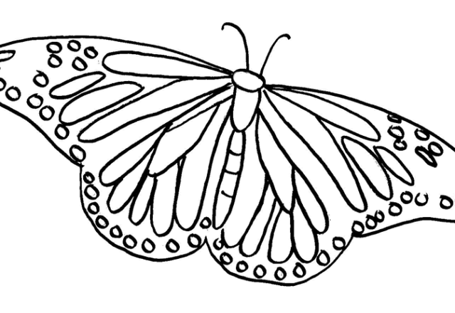 Farfalla con ali molto ampie disegno da colorare