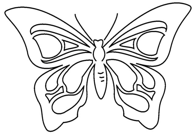 Farfalla da stampare e da colorare categoria animali