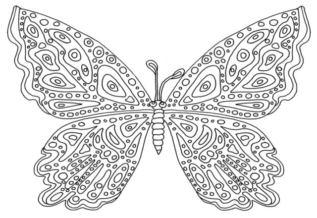 Farfalla disegno da colorare difficile