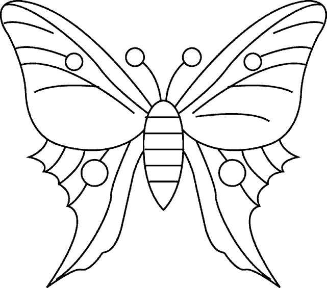 Farfalla disegno da colorare difficoltà  media