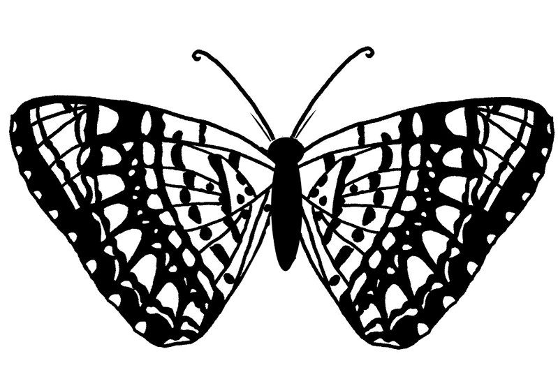 Farfalla scura con ampie ali da colorare