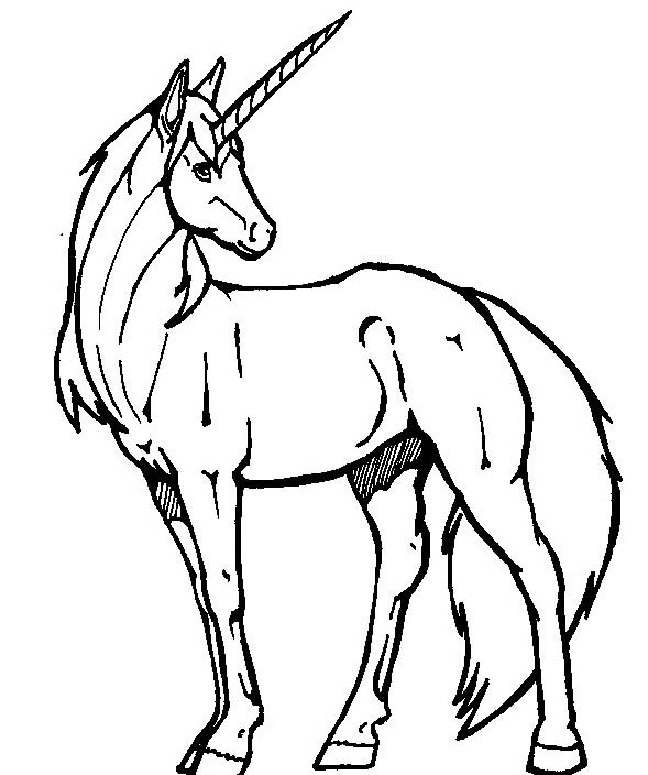 Fiero unicorno disegno da colorare gratis