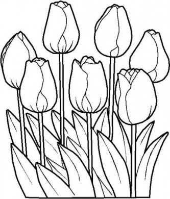 Fiori tulipani da stampare e da colorare