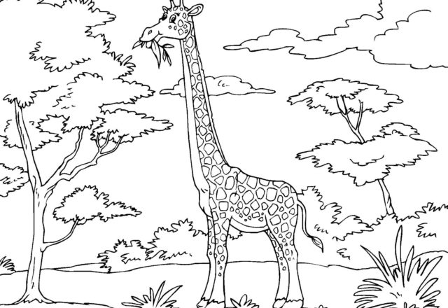 Giraffa che mangia foglie dall’ albero disegno da colorare