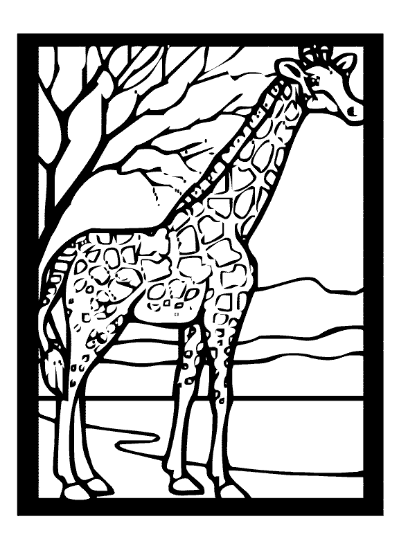 Giraffa realistica adulta disegno da colorare gratis
