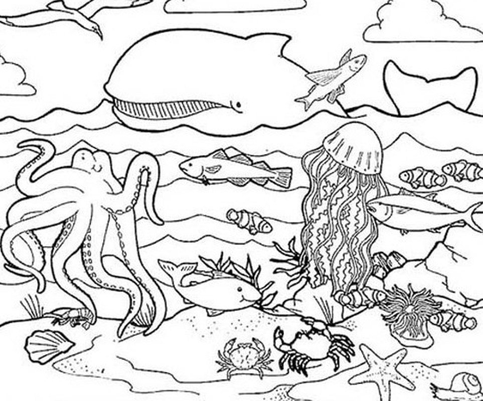 Gli animali del mare disegni da colorare gratis