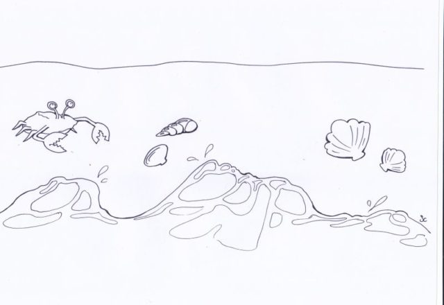 Granchi sulla riva del mare disegni da colorare per bambini