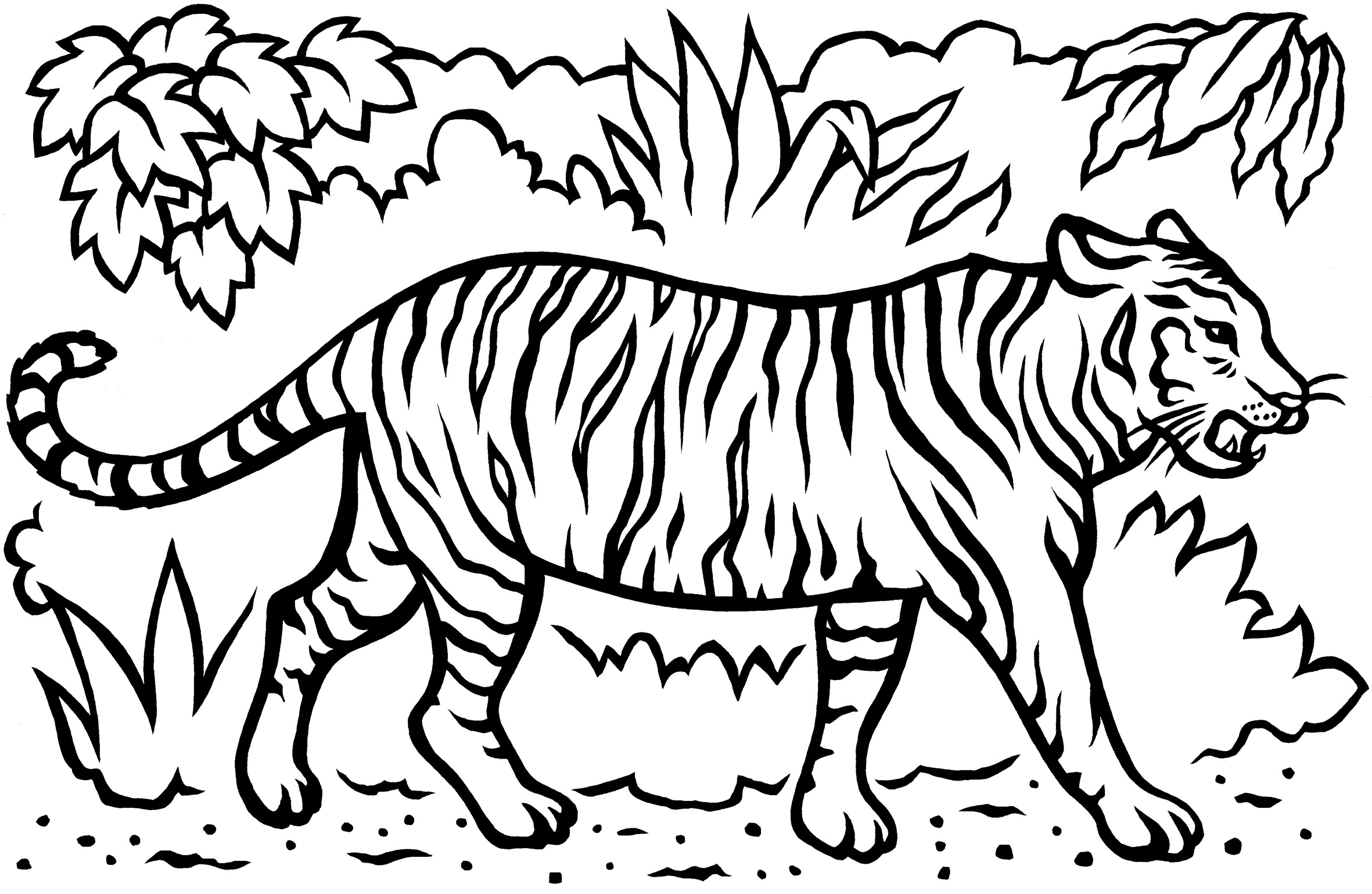 Grande disegno da colorare con la tigre