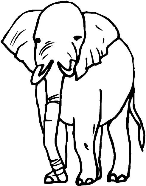 Grande elefante immagine da stampare e da colorare gratis