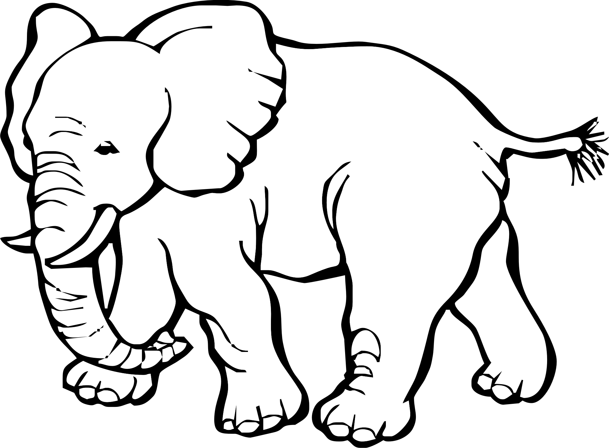 Grande elefante realistico disegno da colorare per bambini