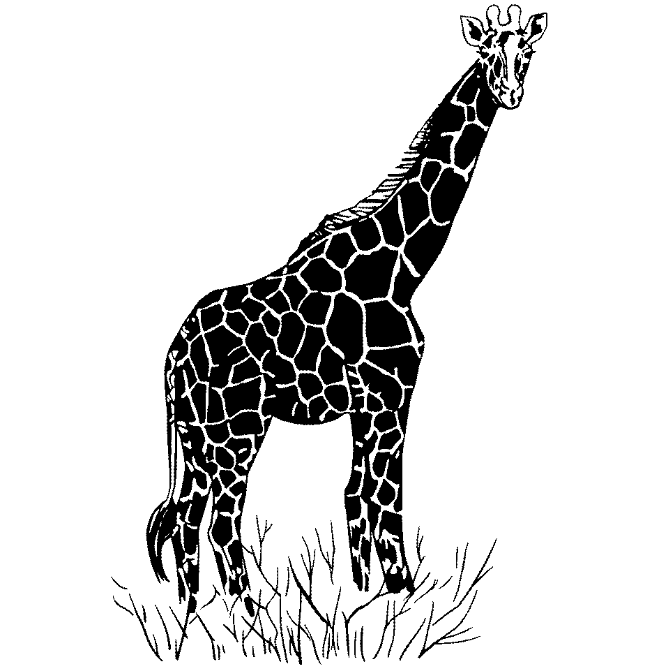 Grande giraffa disegno da colorare realistico
