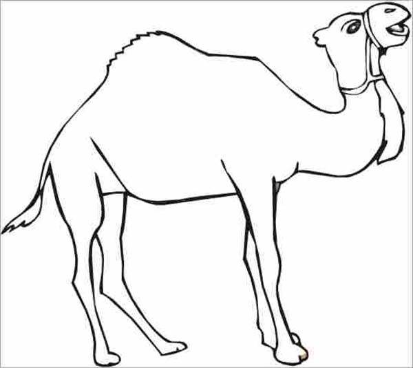 Grande immagine da colorare gratis il cammello