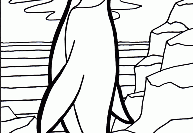 Grande pinguino pronto a tuffarsi da colorare