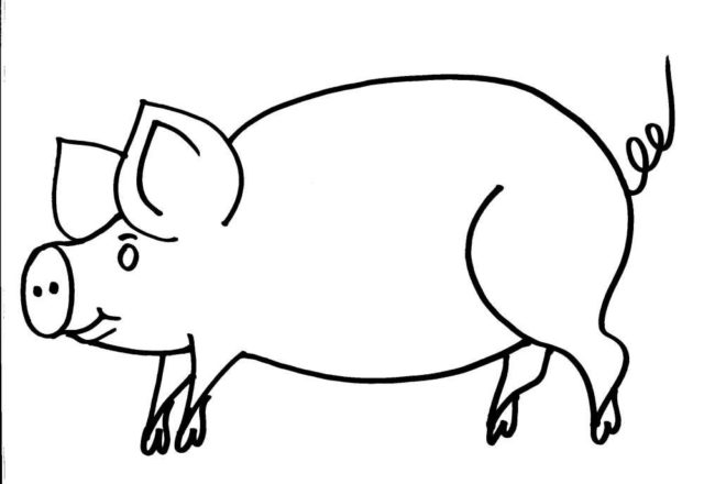 Grande semplice maiale disegno da colorare