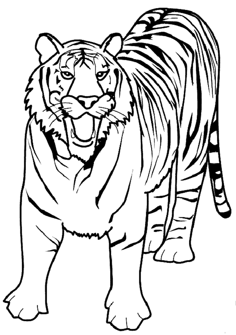 Grande tigre immagine da colorare categoria animali