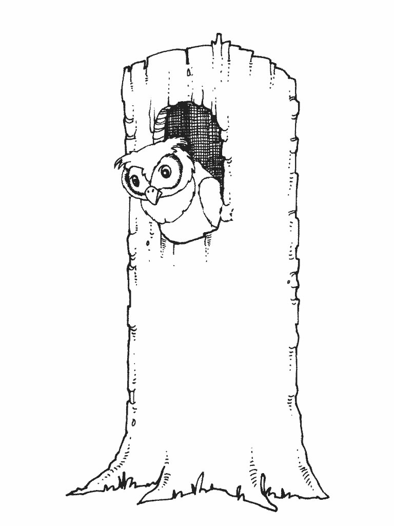 Gufo in un tronco d’ albero bucato disegno da colorare