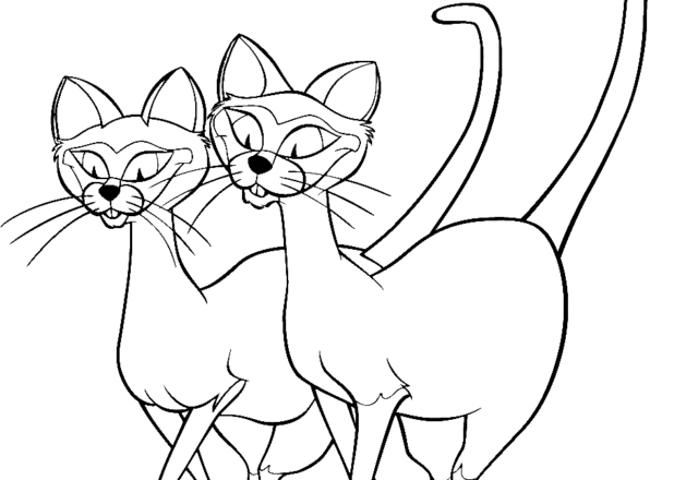 I gatti siamesi 2 disegni da colorare gratis