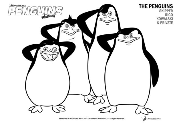 I pinguini di Dreamworks Madagascar disegni da colorare