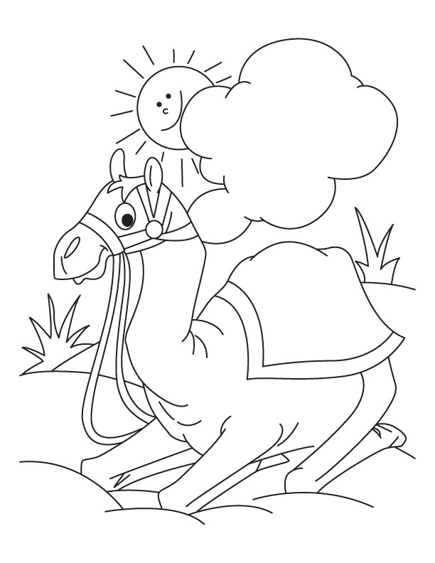 Il cammello animale per bambini da colorare e da stampare