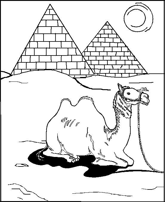 Il cammello e le piramidi disegno da colorare gratis