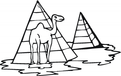 Il cammello tra le piramidi disegno da colorare gratis