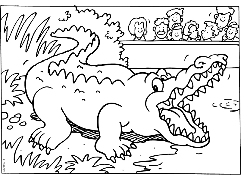 Il coccodrillo allo zoo disegni da colorare per bambini