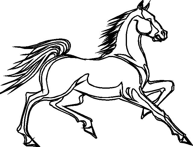 Il disegno di un cavallo da colorare