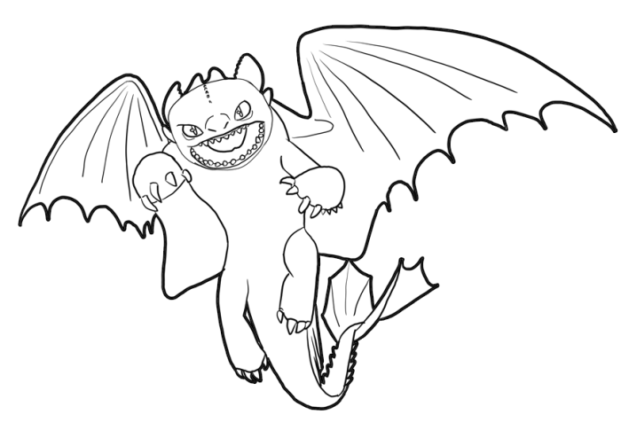 Il drago Sdentato del film d’ animazione Dragon Trainer da colorare per bambini gratis