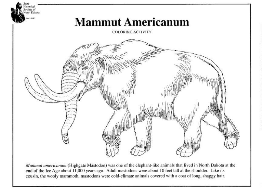 Il mammuth americano da stampare e da colorare