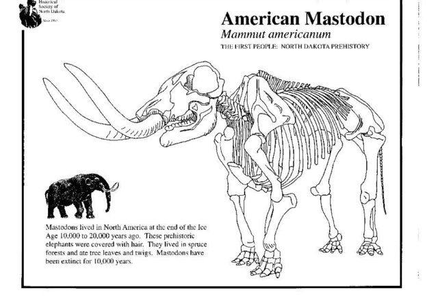 Il mastodonte americano da colorare