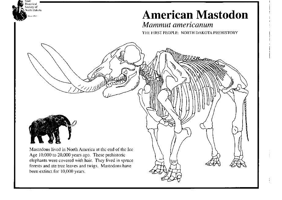 Il mastodonte americano da colorare