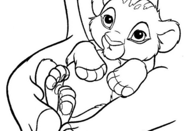 Il piccolo leoncino disegni da colorare gratis