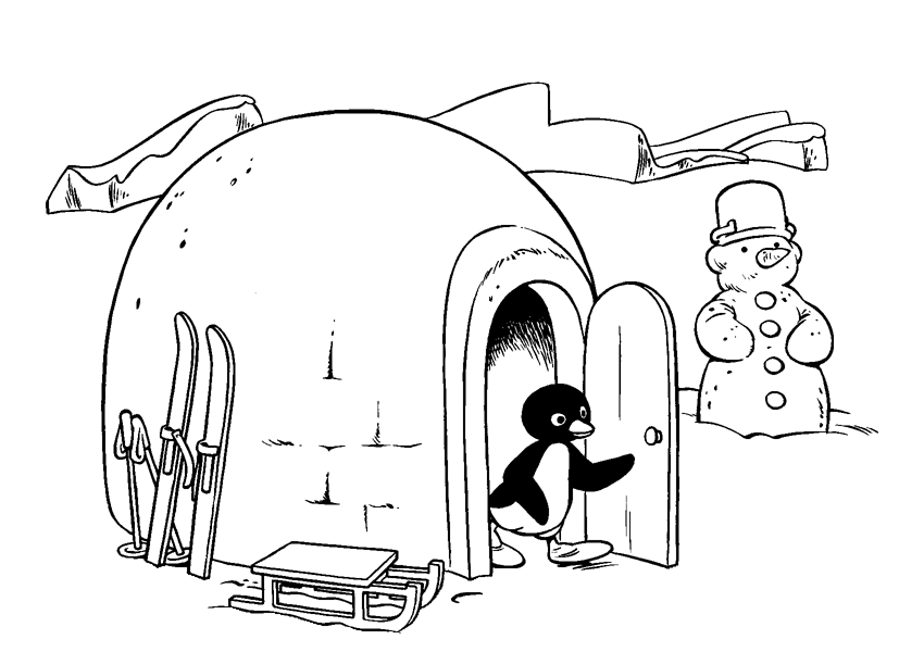 Il pinguino Pingu nel suo igloo disegno da colorare