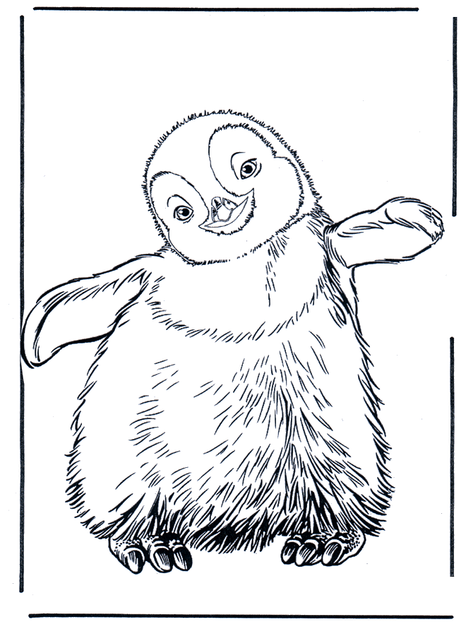 Il pinguino di Happy Feet in cornice da colorare
