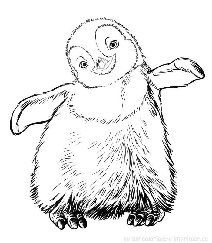 Il tenero pinguino del film cartone animato Happy Feet da colorare