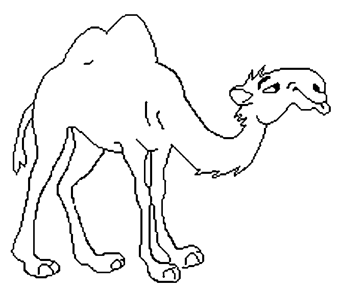 Immagini per bambini gratuite di cammelli