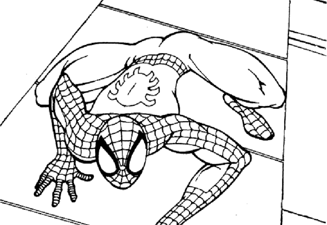 L’ Uomo Ragno Spiderman che cammina sui lati dei grattacieli da colorare gratuitamente