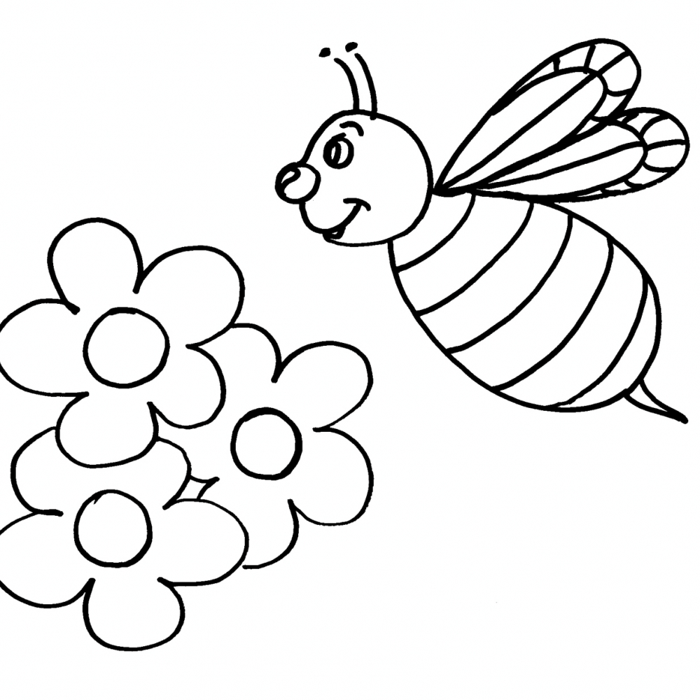 L’ ape regina e i fiori disegno da colorare