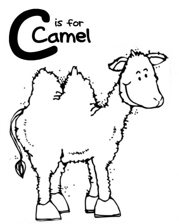 La C di cammello disegno da colorare gratis