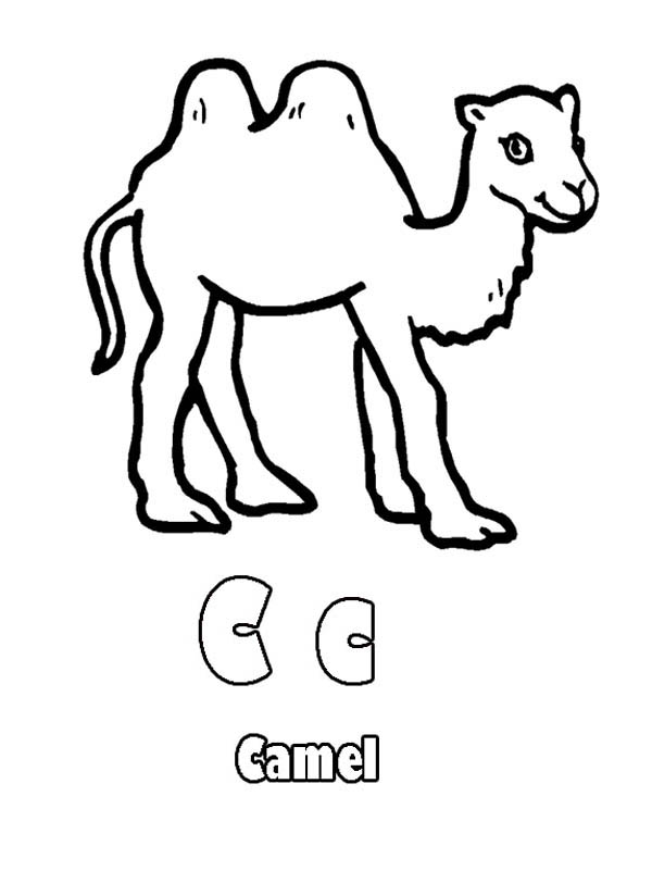 La C di cammello immagine da stampare per bambinie bambine