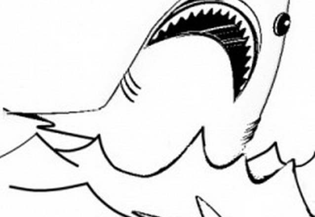 La bocca dello squalo disegni da colorare gratis
