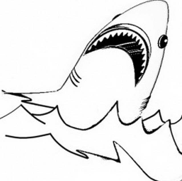 La bocca dello squalo disegni da colorare gratis