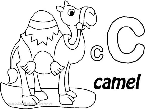 La lettera C sta per Cammello disegno da colorare per bimbi