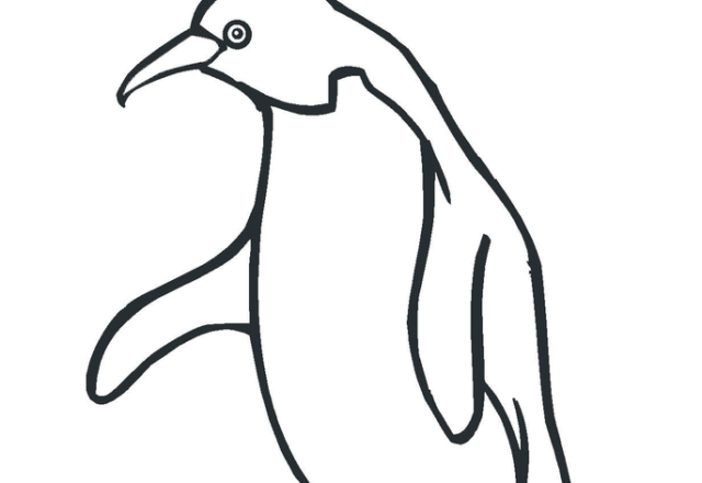 La lettera P di Pinguino da colorare