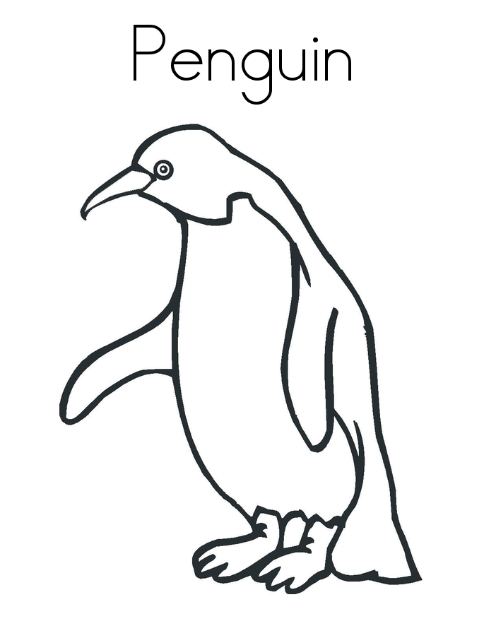 La lettera P di Pinguino da colorare