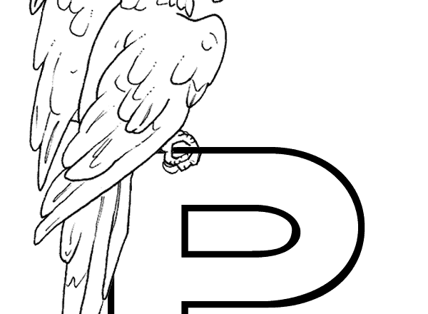 La lettera P di pappagallo da colorare